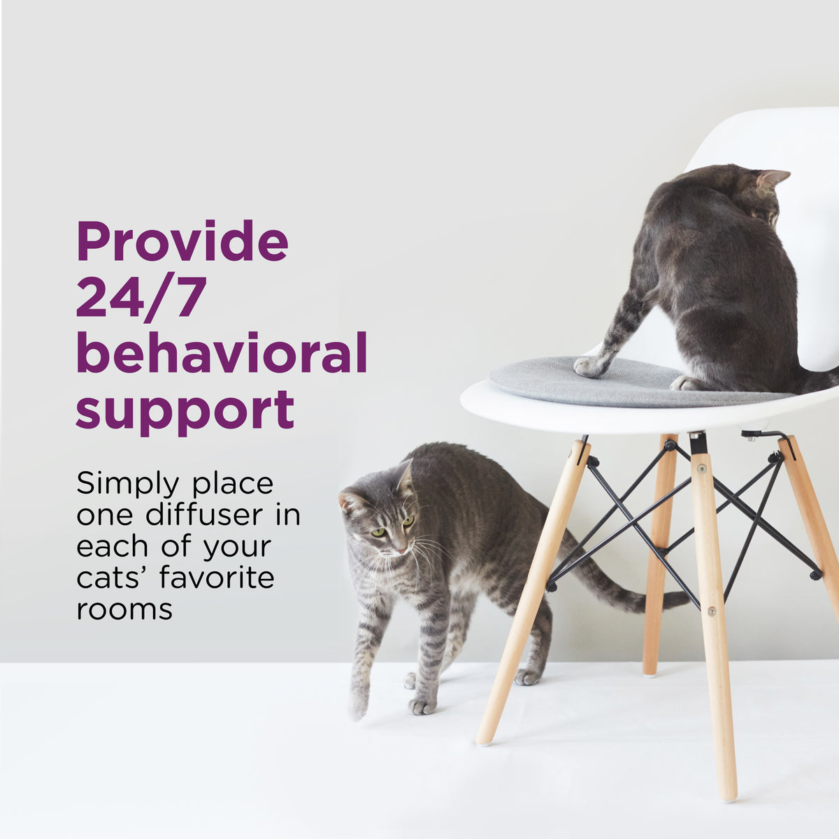 FAR KIT COMF ZONE CAT CALM 2PK