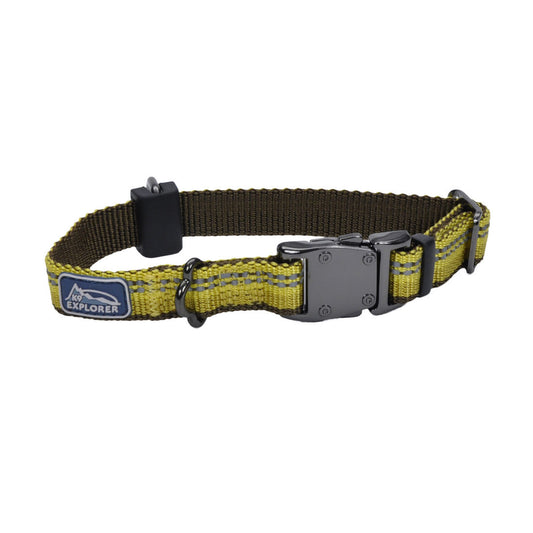 COASTAL 5/8" ADJ CLR GOLDNROD