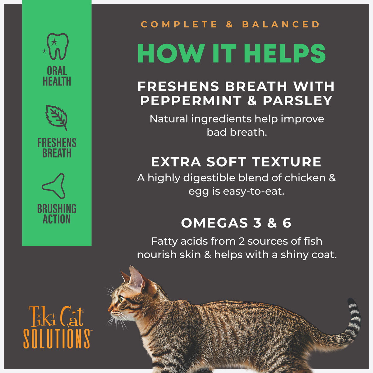 TIKI CAT SOL DENTAL CH 5.6#