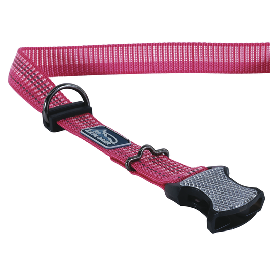 K9 BRIGHTS CLR 1"-12X18 BSM