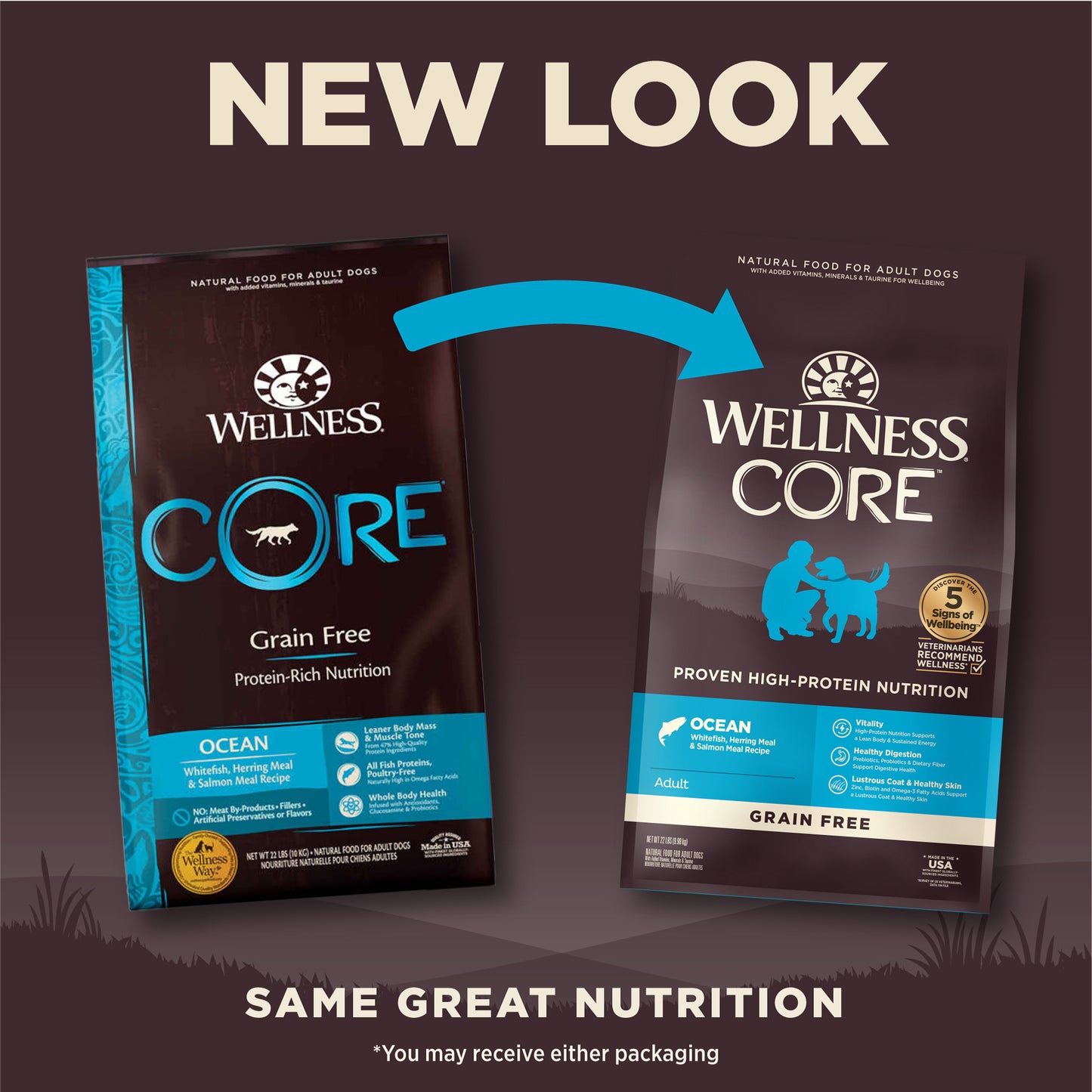 WELLNESS CORE OCEAN 22#