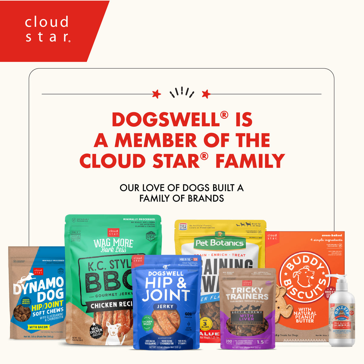 DOGSWELL SKINCOAT JERKY SALM