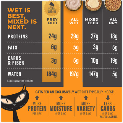 TIKI PETS DIGESTION MOUSSE