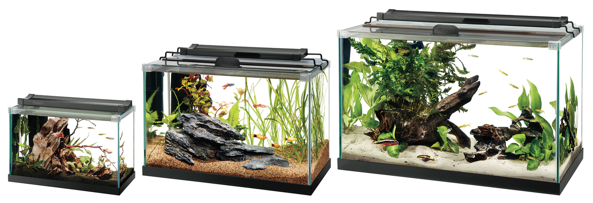 AQE TANK RIMLESS RECT 5.5G
