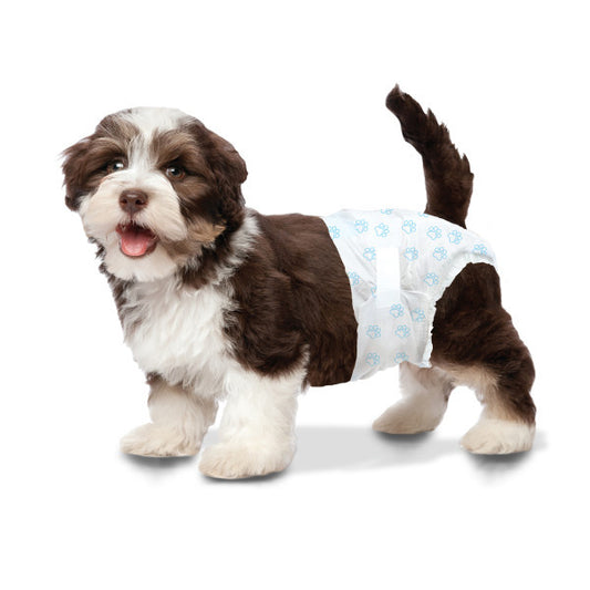 WEE WEE DIAPER 36 PC XS