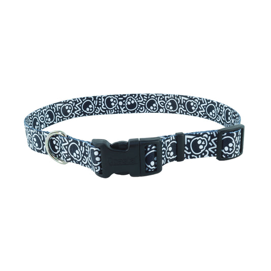 PET ATTIRE CLR SKULLS 20" 3/4"