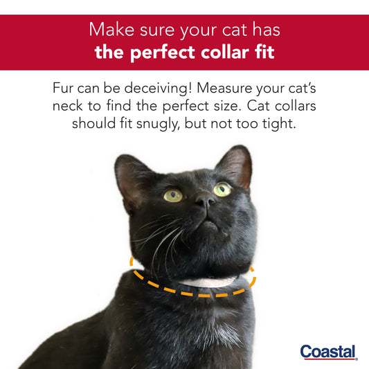 COASTAL 3/8" SAFE CAT PINK CLR