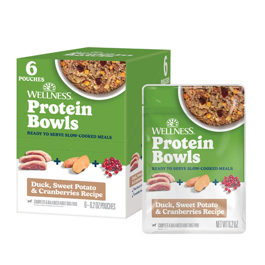 WELLNESS DUCK SWPOT BOWL 6.2Z