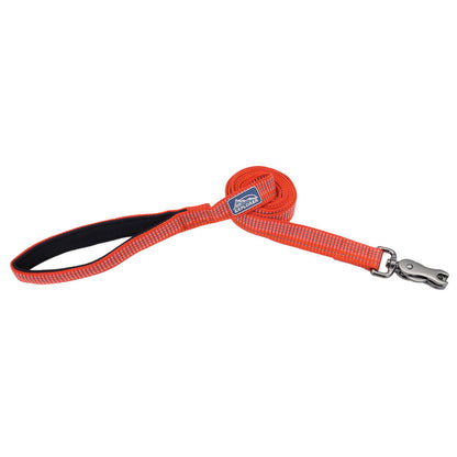 K9 BRT 1" LEASH CYN