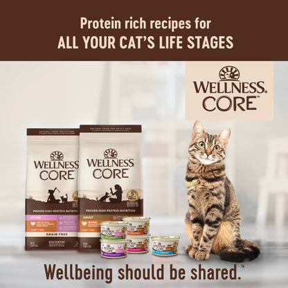 WELLNESS CORE KITTEN 5.14#