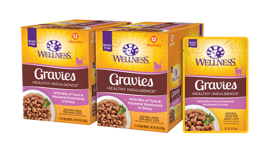 WELLNESS HLTHY INDUL GRVY TUNA