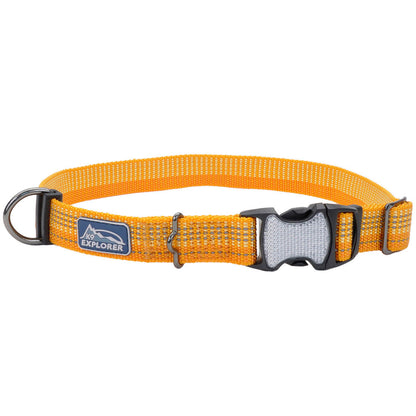 K9 BRT 1" COLLAR DESERT
