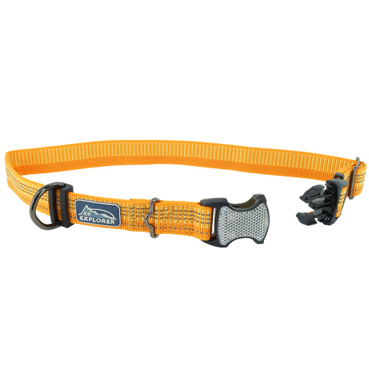 K9 BRT 1" COLLAR DESERT