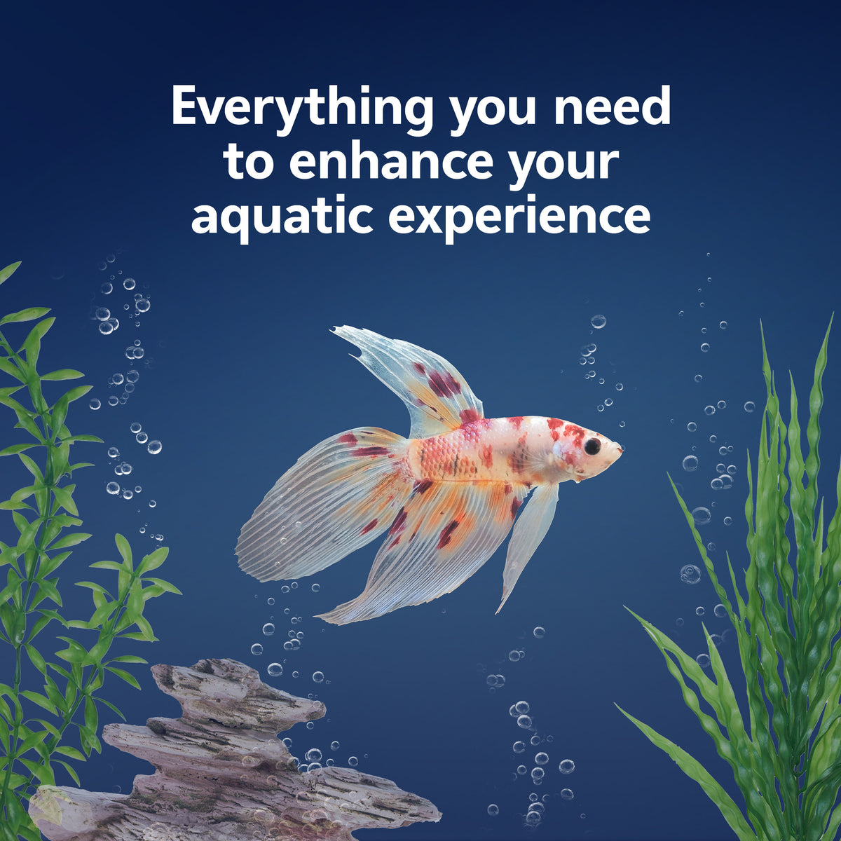 AQE BETTA BOW QUICK CLN KIT 1G