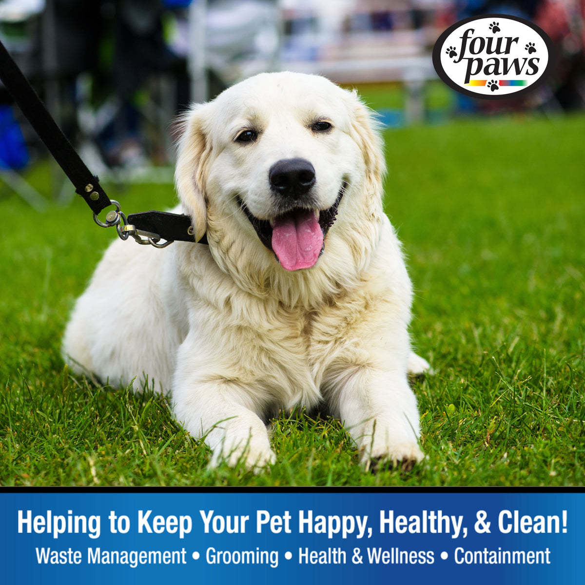 FOUR PAWS WALK ABOUT TIE OUT
