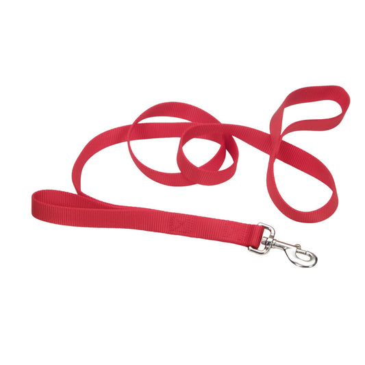 LOOPS 1" LEASH RED