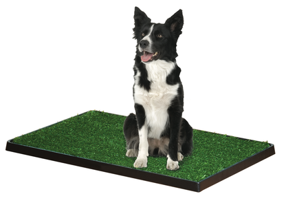 FOUR PAWS WEE WEE PATCH MD