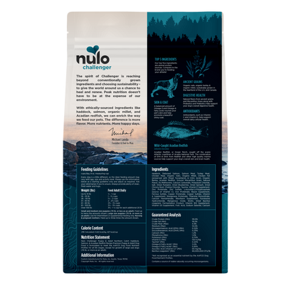 NULO CHALLENGER N CATCH 4.5#
