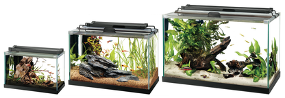 AQE RIMLESS TANK RECT 10G
