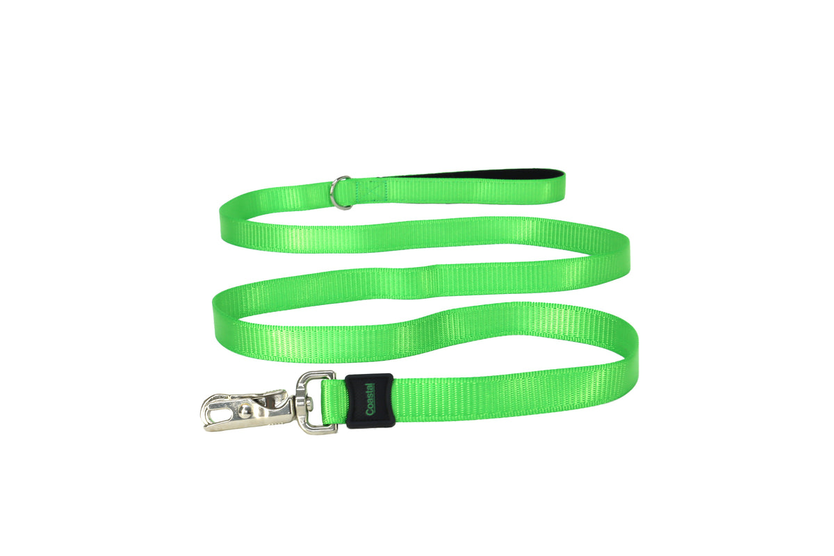 5/8" INSPIRE LEASH GREY
