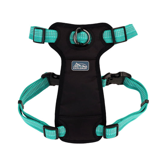 K9 BRT 5/8" HRN OCEAN 24