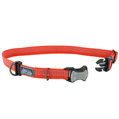 K9 BRIGHTS CLR 5/8"X8-12 CYN