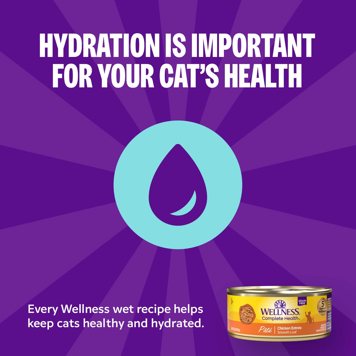 WELLNESS CAT CHIK CAN 12.5Z