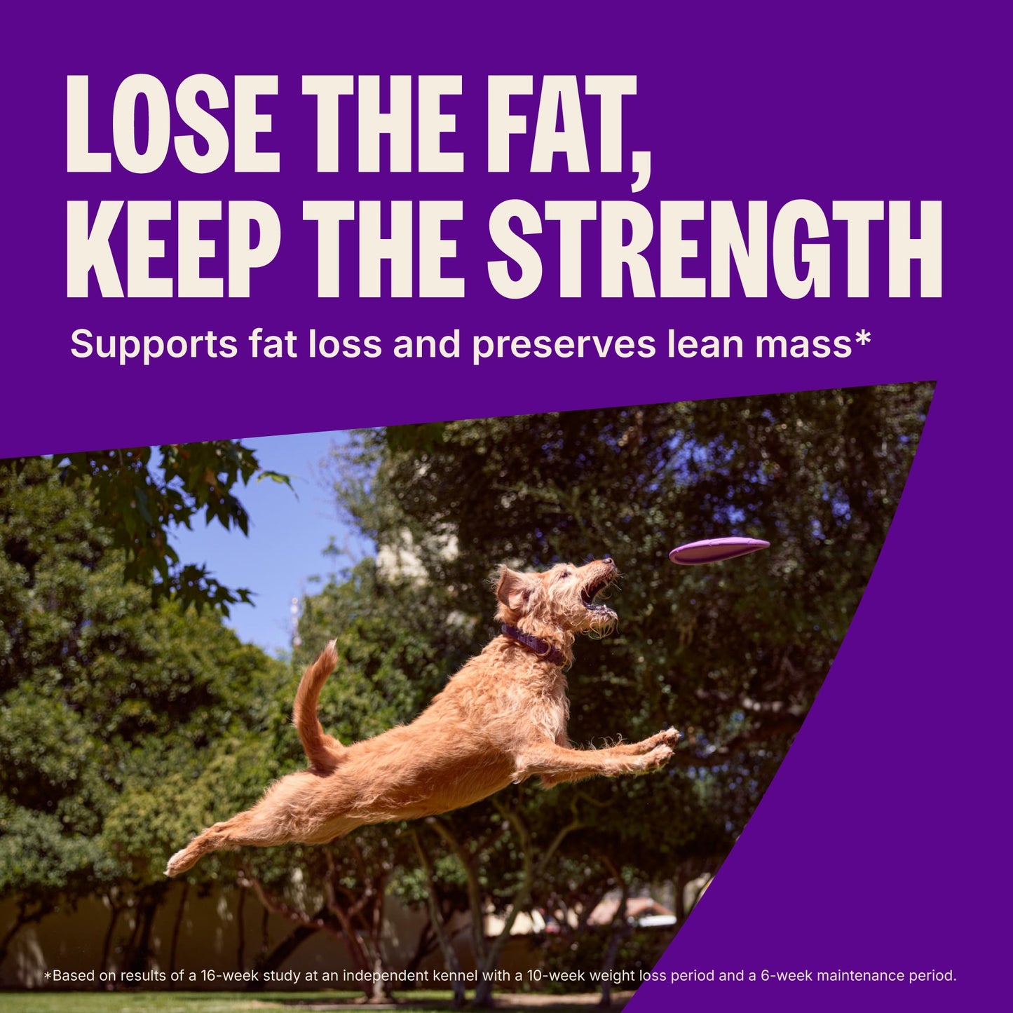 WELLNESS CORE REDUCED FAT 24#