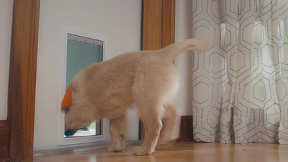 NYLABONE TRIPLE CHW PUP M 3CT