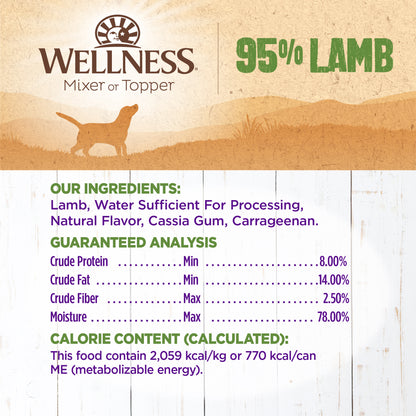 WELLNESS 95% LAMB 13.2oz