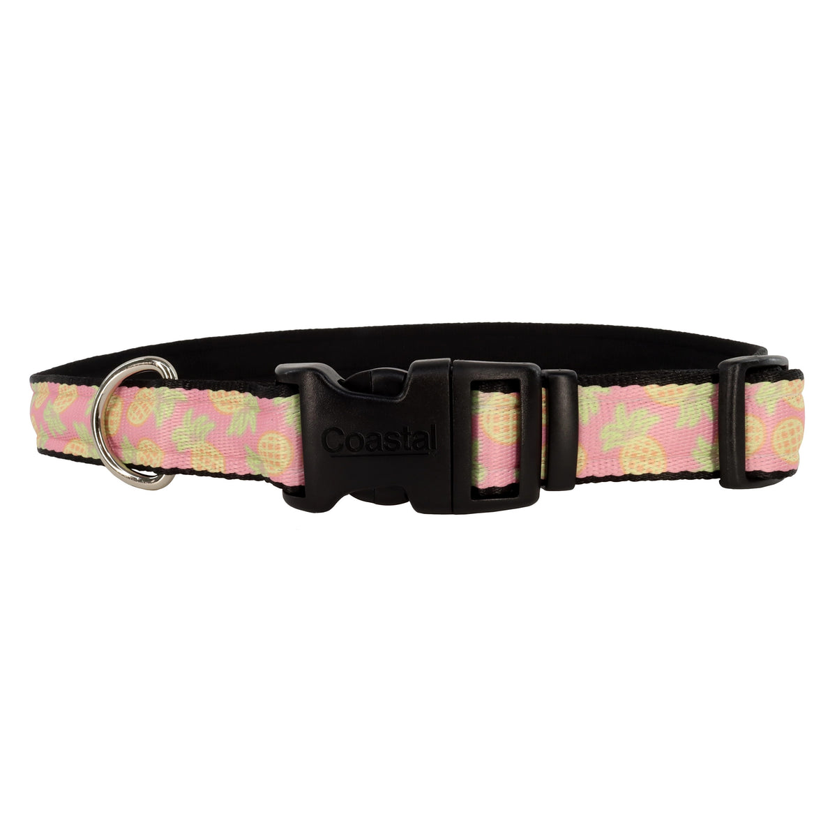 COASTAL 5/8" COLLAR PINEAPPL