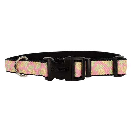 COASTAL 5/8" COLLAR PINEAPPL