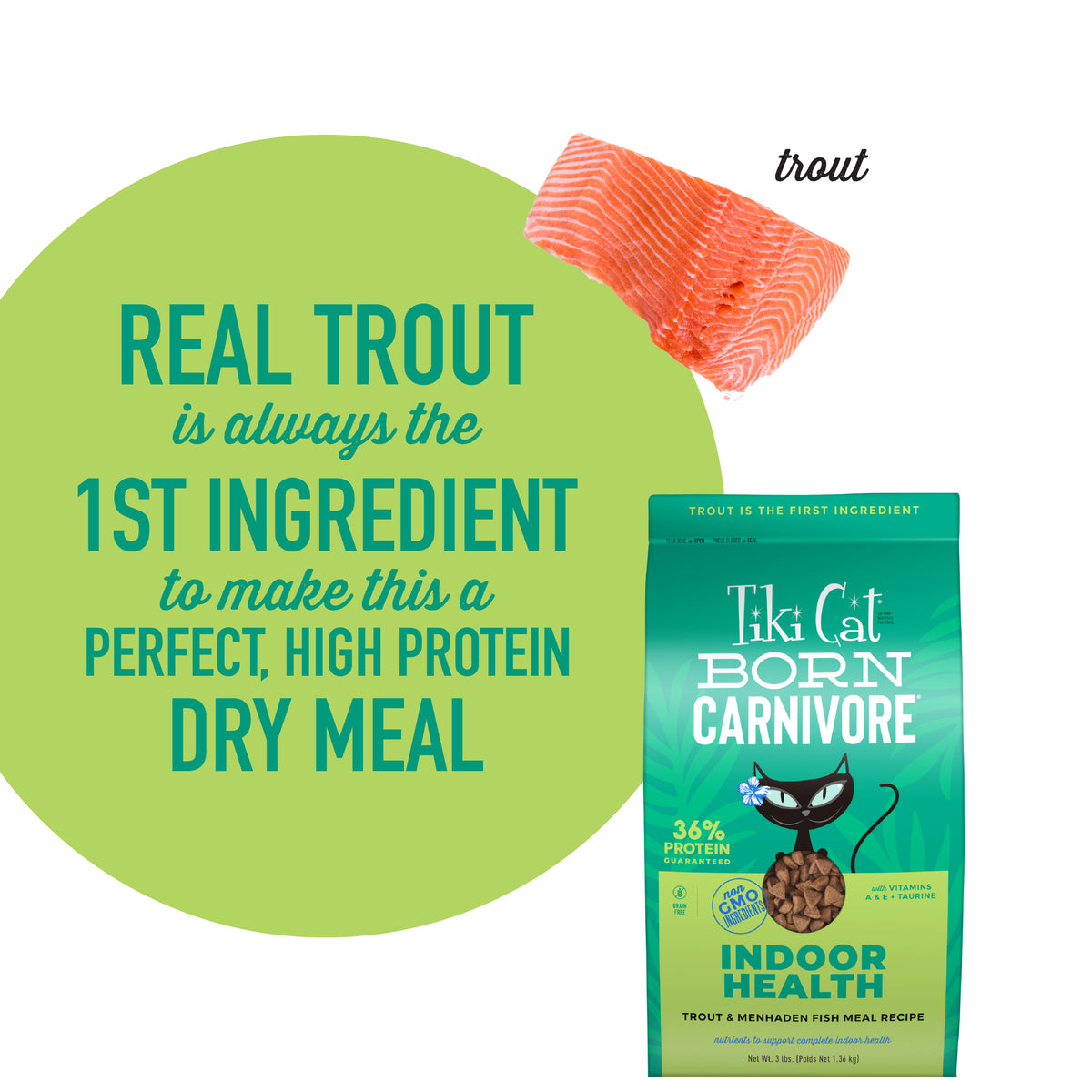 TIKI CAT BORN INDOOR TROUT 3#