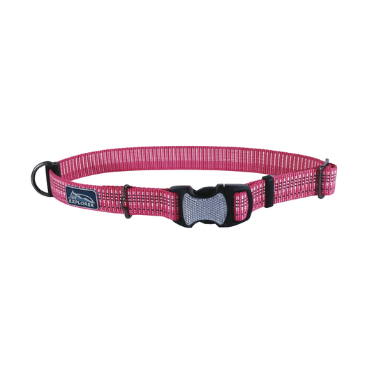 K9 BRIGHTS CLR 1"-12X18 BSM