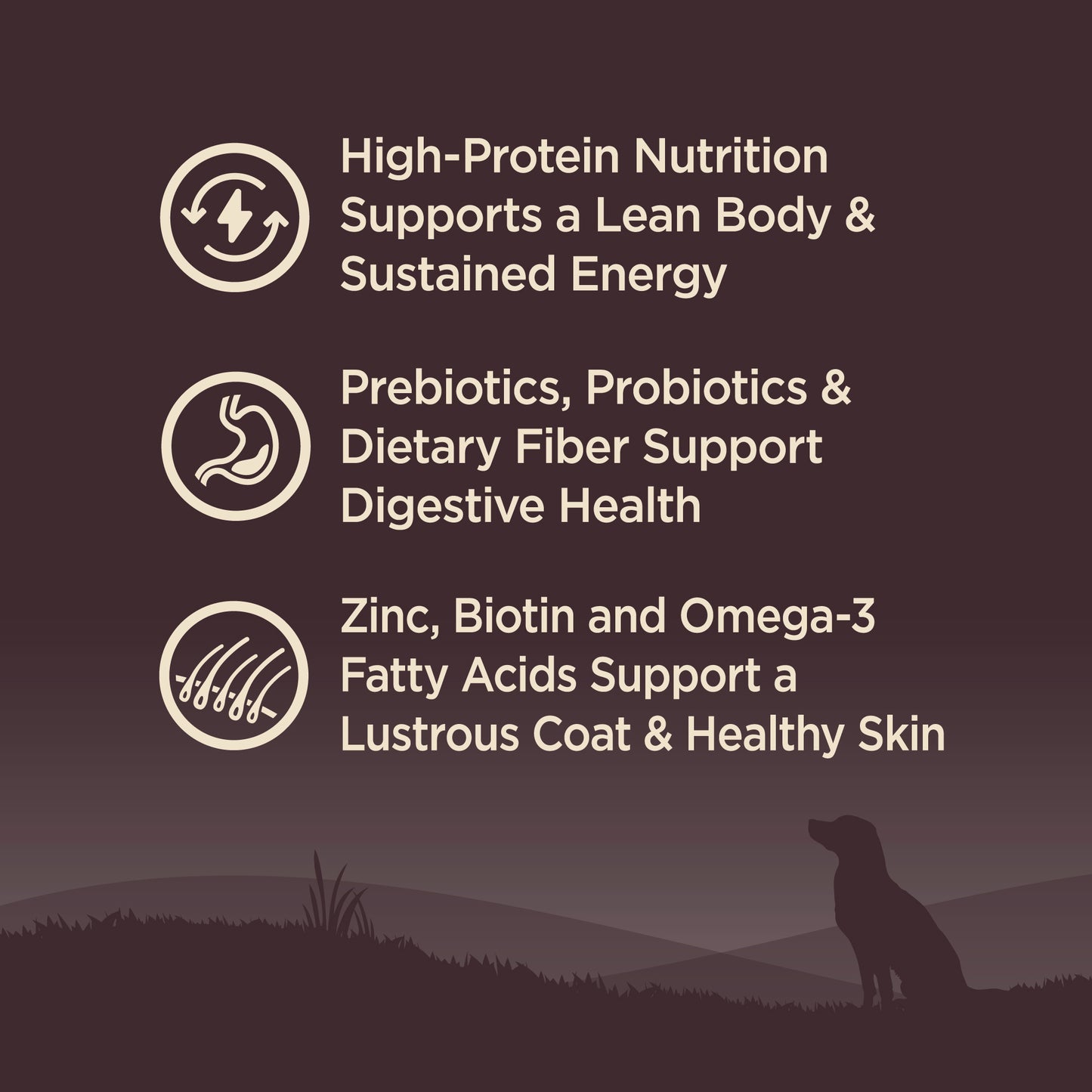 WELLNESS CORE REG 24#