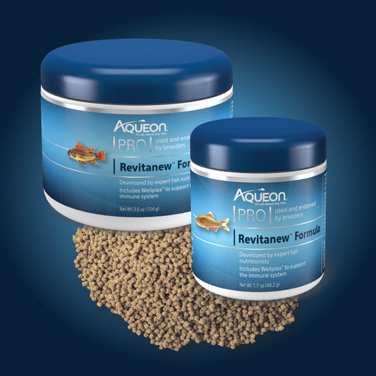 AQE REVITANEW PRO FOOD 1.7Z S
