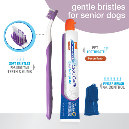 NYLABONE SR DENTAL KIT S
