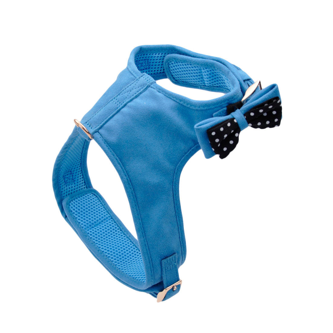 COASTAL 5/8" HARNESS BRT BL M