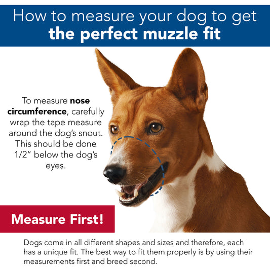 COASTAL COMFORT MUZZLE MED
