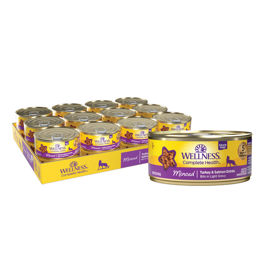 WELLNESS MINCED TURK SALM 5.5Z