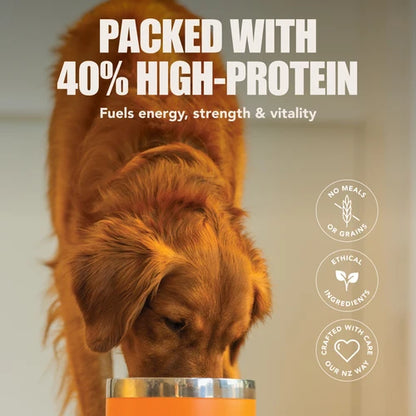 K9 NAT GF BAKED GRASS FED RED