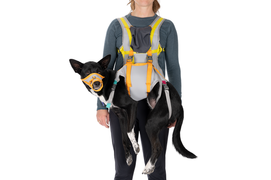 RUFFWEAR BACKTRAK EVACUATION M
