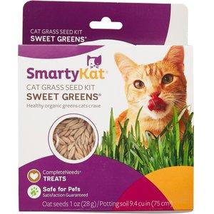 SMARTY KAT CAT GRASS GROW KIT
