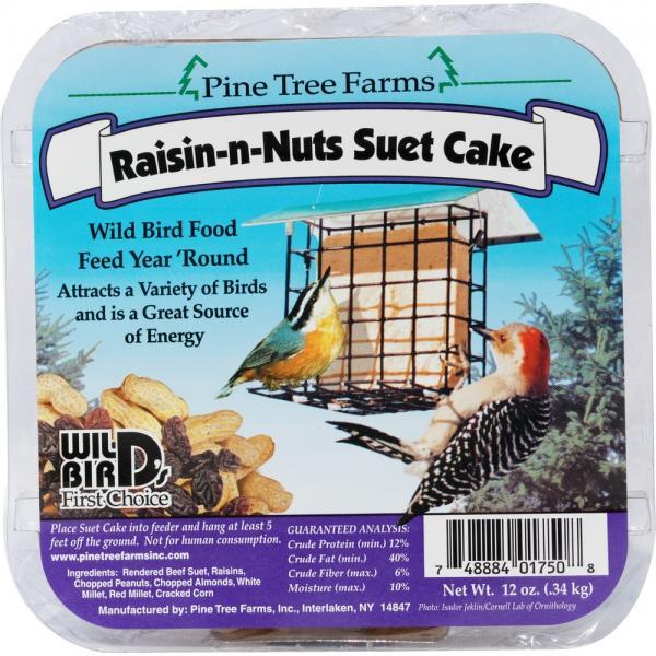 RAISIN-NUT SUET CAKE 12Z