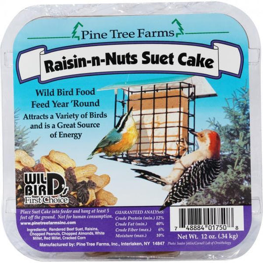 RAISIN-NUT SUET CAKE 12Z