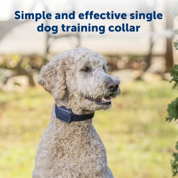 PETSAFE BASIC DOG TRAINER W/RE