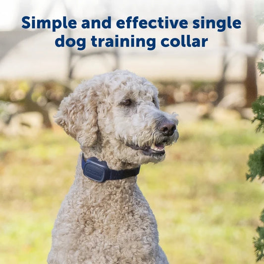 PETSAFE BASIC DOG TRAINER W/RE