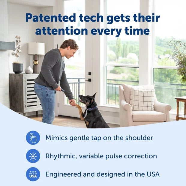 PETSAFE BASIC DOG TRAINER W/RE