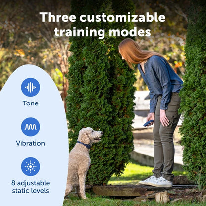 PETSAFE BASIC DOG TRAINER W/RE