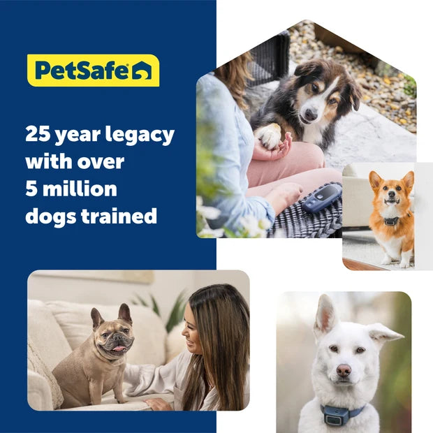 PETSAFE BASIC DOG TRAINER W/RE